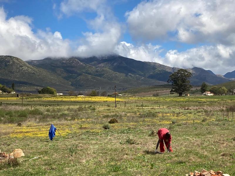 0 Bedroom Property for Sale in Joubertina Eastern Cape